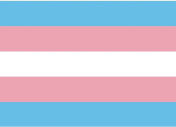 Macintosh HD:Users:fran:Downloads:bandera-trans-lgtbi.jpg