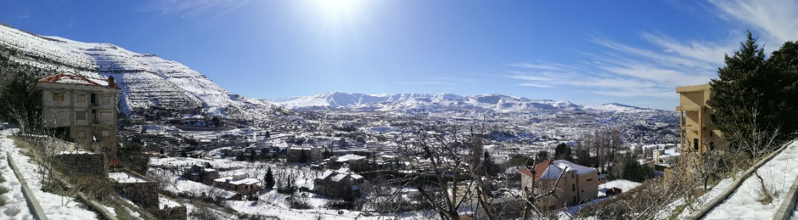 La sombra de un árbol

Descripción generada automáticamente con confianza baja